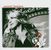 Annett Louisan: Unausgesprochen, CD
