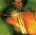Hubert von Goisern: Fön, CD