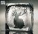 Miike Snow: Miike Snow, CD
