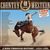 Country & Western: A Ride Through History 1924 - 1960, 40 CDs