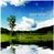 Various Artists: Sea Of Silence Vol.7, CD
