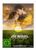 Die Wolke, DVD