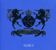 Kontor: House Of House Vol. 8, 3 CDs