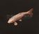 Nighthawks  (Dal Martino / Reiner Winterschladen): Selection - The Best Of Nighthawks, CD
