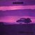 Dawnwind: Looking Back On The Future, CD