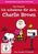 Die Peanuts: Ich schwärme für dich, Charlie Brown, DVD