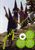 Gong: Gong At Montserrat 1973 And..., DVD
