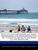 Emeline Fort: Top 5 Us Cities for Singles and Young Professionals Including Washington DC, Chicago Il, Dallas TX, San Diego CA, and Boston Ma, Buch