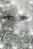 Mysty Johnson: Chrysalis, Buch