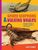 Claire Eamer: Spiked Scorpions and Walking Whales: Modern Animals, Ancient Animals, and Water, Buch