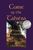 Wendy Gillissen: Curse of the Tahira, Buch