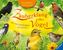 Zauberklang der Vögel, Buch