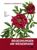 Barbara Schoberberger: Begegnungen am Wegesrand, Buch