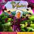 Axel Ruhland: Little Amadeus. Sonntags-Hörbuch, CD