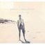 Angus & Julia Stone: Down The Way (Limited Edition), 2 CDs