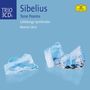 Jean Sibelius (1865-1957): Orchesterwerke, 3 CDs
