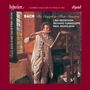 Johann Sebastian Bach (1685-1750): Flötensonaten BWV 1020,1030-1035, 2 CDs