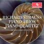 Richard Strauss (1864-1949): Klaviertrios Nr.1 &amp; 2, CD