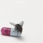 Red Hot Chili Peppers: I'm With You, CD