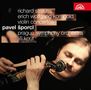 Richard Strauss (1864-1949): Violinkonzert op.8, CD