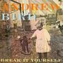 Andrew Bird: Break It Yourself, CD