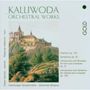 Jan Vaclav Kalivoda (1801-1866): Symphonie Nr.3 d-moll op.32, CD