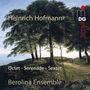 Heinrich Hofmann (1842-1902): Serenade op.65 für Flöte & Streichquintett, SACD