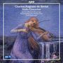 Charles-Auguste de Beriot (1802-1870): Violinkonzerte Nr.2,4,7, CD