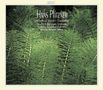 Hans Pfitzner (1869-1949): Orchesterwerke &amp; Konzerte, 5 CDs