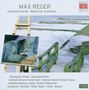 Max Reger (1873-1916): Orchesterwerke, 7 CDs