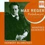 Max Reger (1873-1916): Violinkonzert op.101, CD