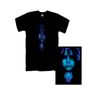 Porcupine Tree: Anesthetize (Black T-Shirt, Size S), T-Shirt