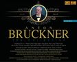 Anton Bruckner (1824-1896): Anton Bruckner - The Collection, 20 CDs