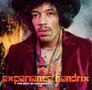 Jimi Hendrix: Experience Hendrix: The Best Of Jimi Hendrix, CD