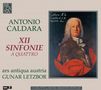 Antonio Caldara (1671-1736): 12 Sinfonie a quattro für Streicher &amp; Bc, CD