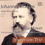 Johannes Brahms (1833-1897): Klaviertrios Nr. 1 & 3, CD