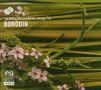Alexander Borodin (1833-1887): Symphonie Nr.2, SACD