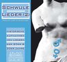 Schwule Lieder 2 - Perlen der Kleinkunst, 2 CDs