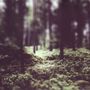 Helge Lien  (geb. 1975): Hello Troll, CD
