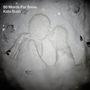 Kate Bush: 50 Words For Snow, CD