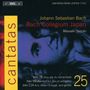 Johann Sebastian Bach (1685-1750): Kantaten Vol.25 (BIS-Edition), CD