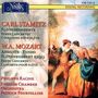 Carl Stamitz (1745-1801): Flötenkonzerte G-dur &amp; D-dur, CD