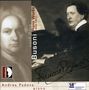 Ferruccio Busoni (1866-1924): Bach-Transkriptionen, CD