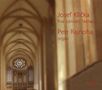 Josef Klicka (1855-1937): Konzert-Fantasien in c,fis,g, CD