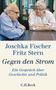 Joschka Fischer: Gegen den Strom, Buch