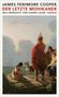 James Fenimore Cooper: Der letzte Mohikaner, Buch