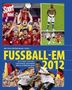 Alexander Brügelmann: Fussball-EM 2012, Buch