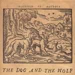 Dog & The Wolf