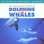 Dolphins & Whales Vol. 7