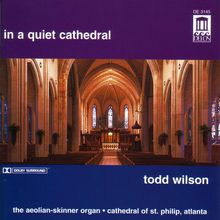Todd Wilson - In a quiet Cathedral, 2 CDs